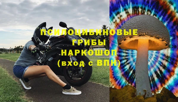 хмурый Зеленокумск